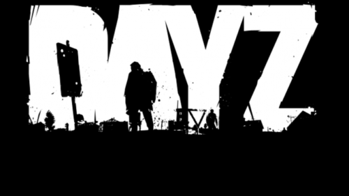 Fix Blurry Screen in DayZ
